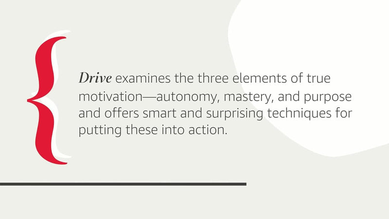 Drive: The Surprising Truth About What Motivates Us